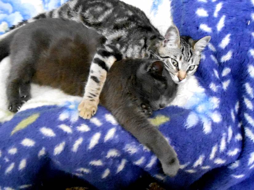 Ο έρως χρόνια δεν κοιτά