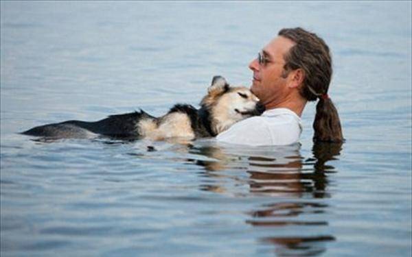 Ιατρική φροντίδα σκύλου, γάτας.