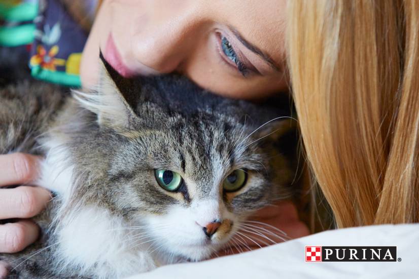 Η γάτα της Τζένης Θεωνά «tweetάρει»!