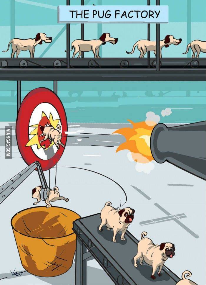 The Pug Factory