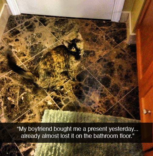 Γάτα ασορτί πλακακια