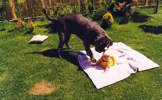 Ο καλύτερος φίλος του μωρού