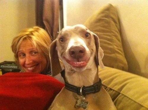 Χαμόγελα απο σκυλιά