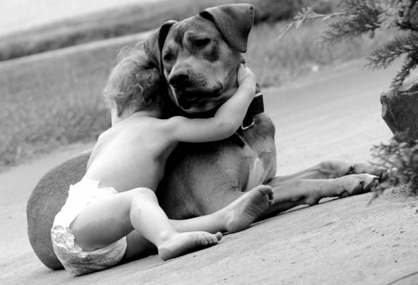 Ποιός θέλει μια αγκαλίτσα;