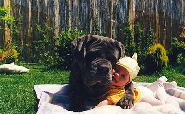 Ο καλύτερος φίλος του μωρού