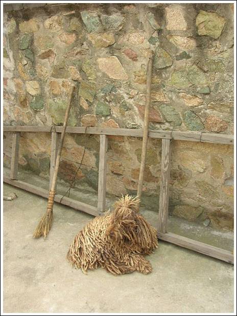 σκυλος σφουγγαρίστρα, το πούλι