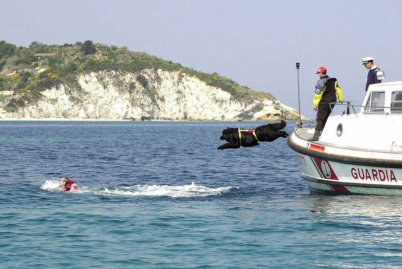 σκυλια ναυαγοσωστες