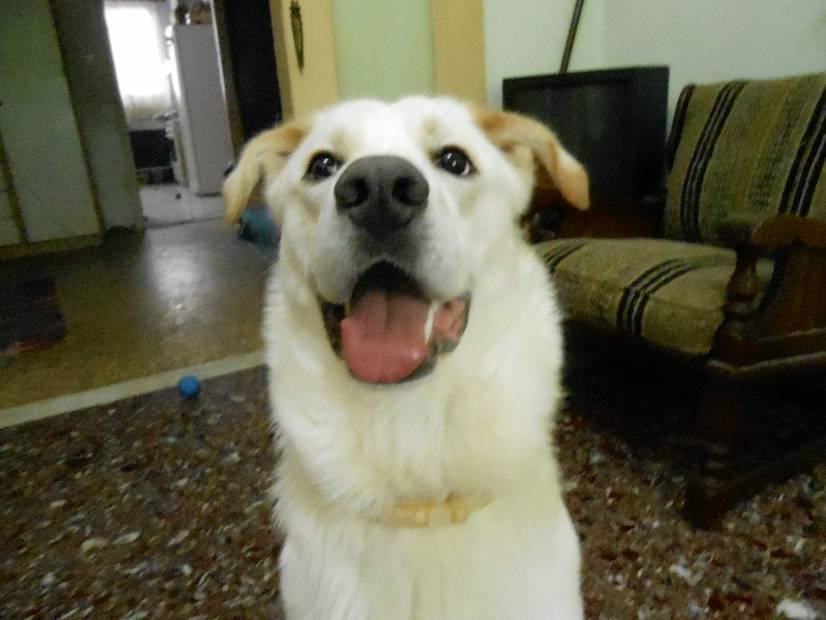 Το πρώτο παγωτό, άντε, και του χρόνου