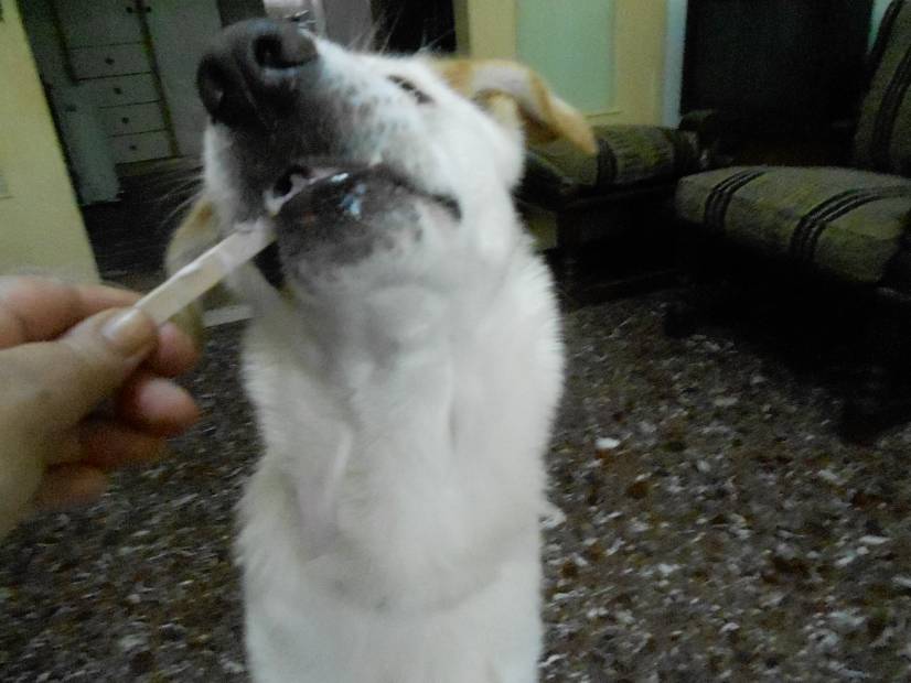 Το πρώτο παγωτό, άντε, και του χρόνου