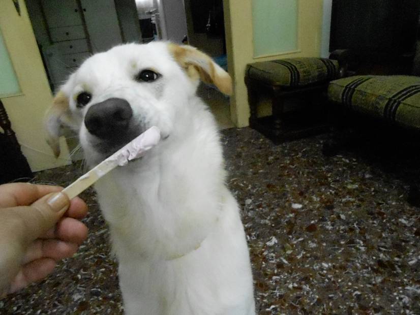 Το πρώτο παγωτό, άντε, και του χρόνου