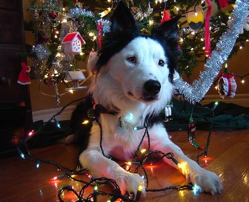 Χριστουγεννιατικα