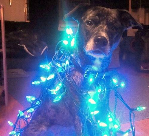 Χριστουγεννιατικα