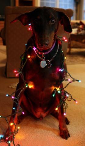 Χριστουγεννιατικα