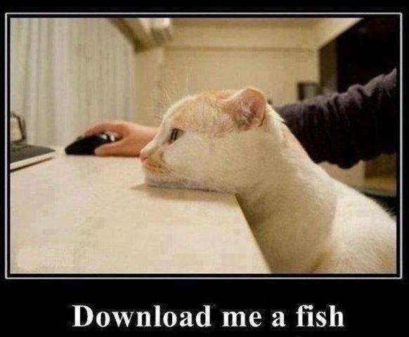 Υπολογιστόγατα