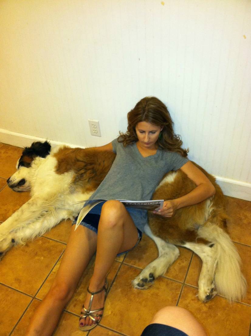 τεράστια σκυλιά