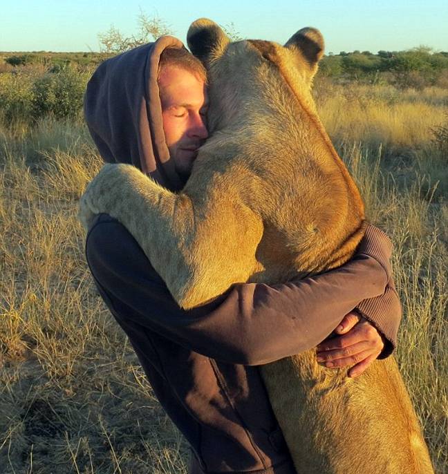 Η λέαινα που αγκαλιάζει τους διασώστες της