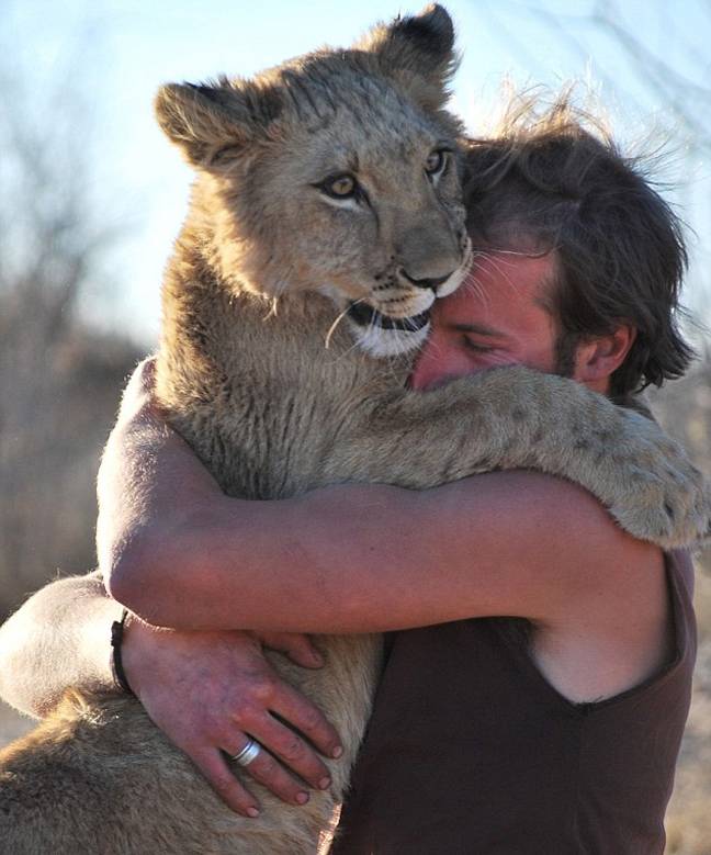 Η λέαινα που αγκαλιάζει τους διασώστες της
