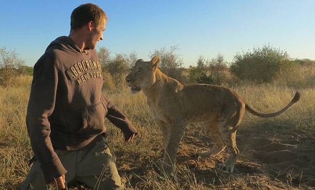Η λέαινα που αγκαλιάζει τους διασώστες της