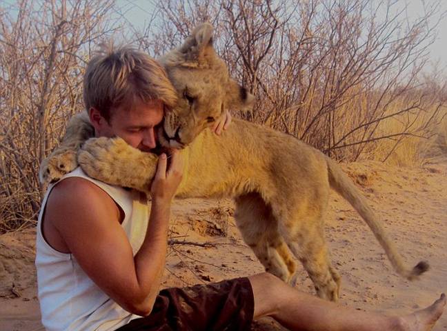 Η λέαινα που αγκαλιάζει τους διασώστες της