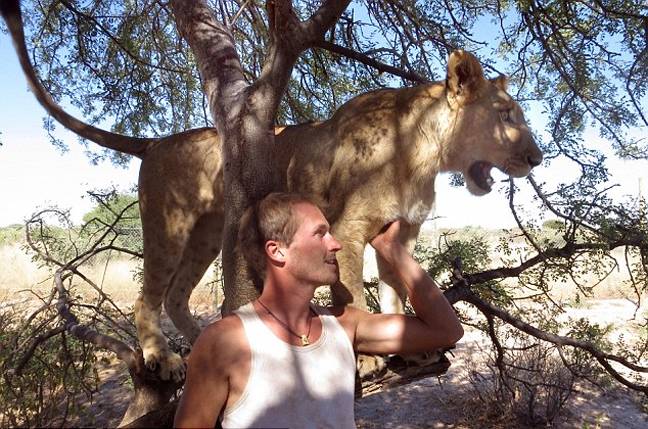 Η λέαινα που αγκαλιάζει τους διασώστες της