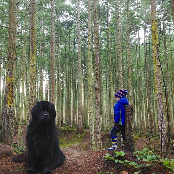 Παιδί και σκυλος