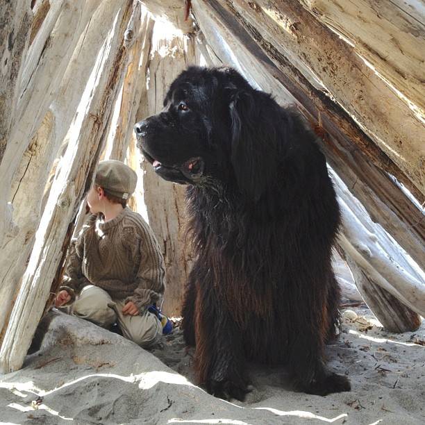 Παιδί και σκυλος