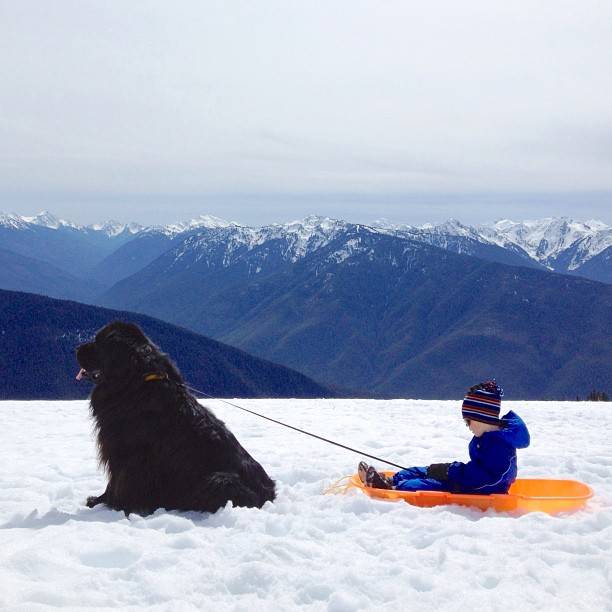 Παιδί και σκυλος