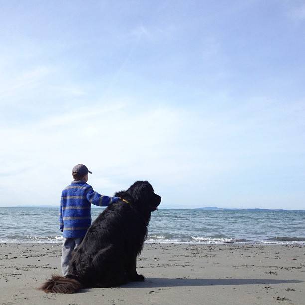 Παιδί και σκυλος