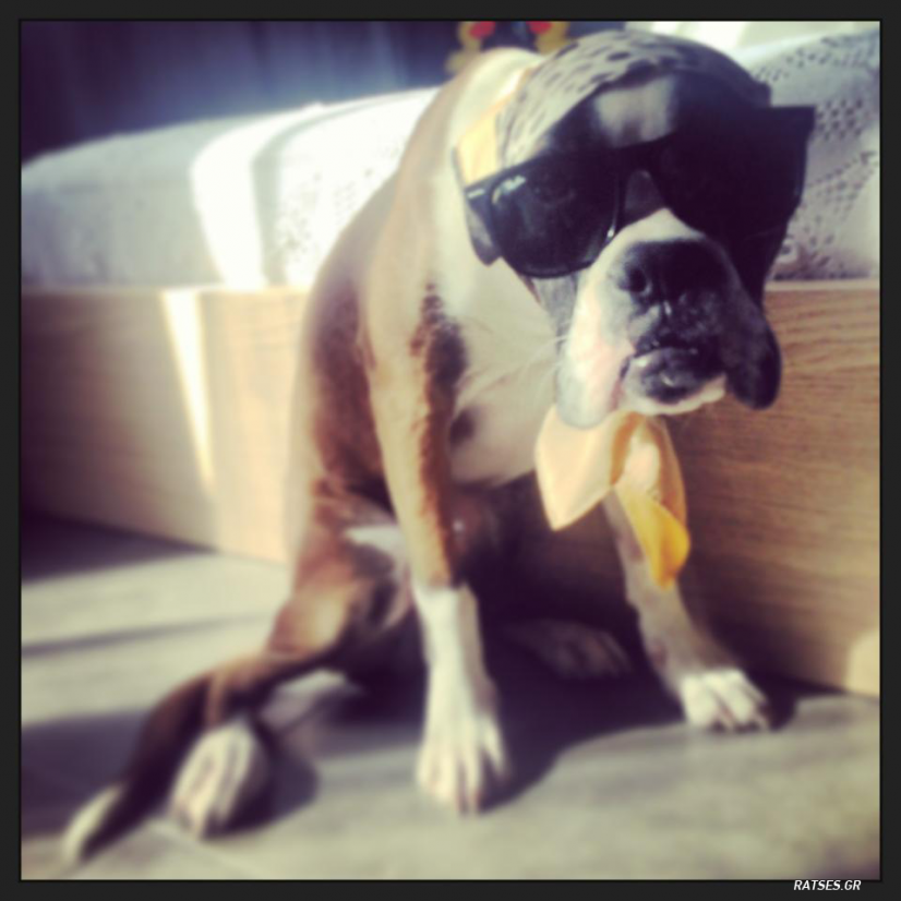 Caramello εσυ Superstar