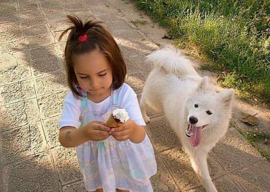 Σκυλια τρώνε παγωτο