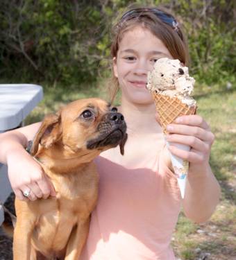 Σκυλια τρώνε παγωτο