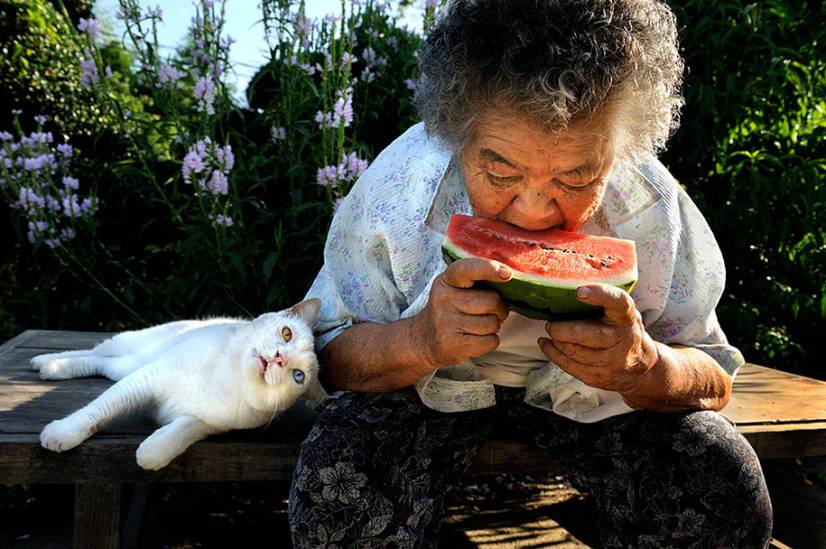 Η γιαπωνεζα γιαγια και η γάτα της