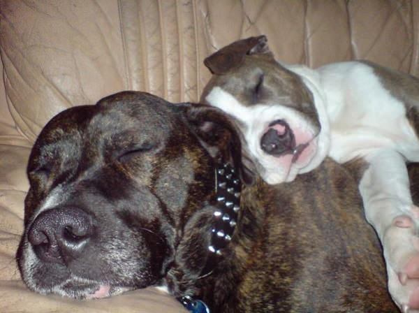 Άμα μεγαλώσει;