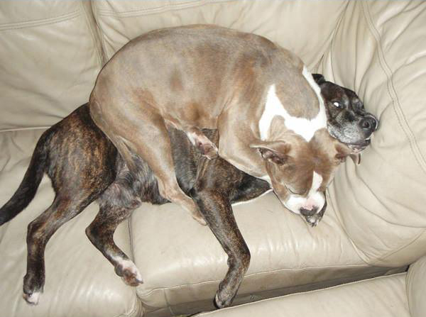 Άμα μεγαλώσει;