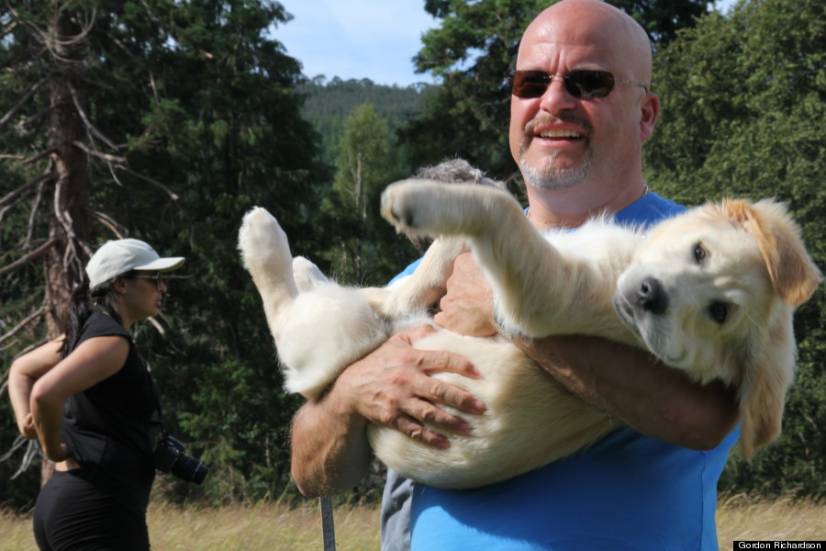 Golden Retriever Festival