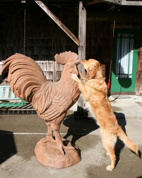 τεράστια σκυλιά