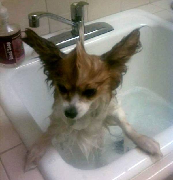 Ωρα για μπάνιο