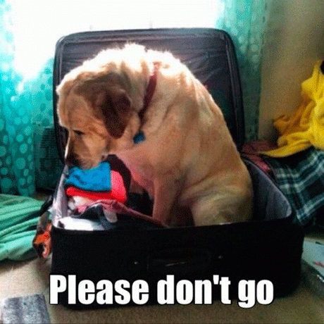 μην φυγεις...