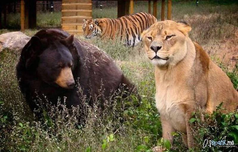 φιλοι για παντα