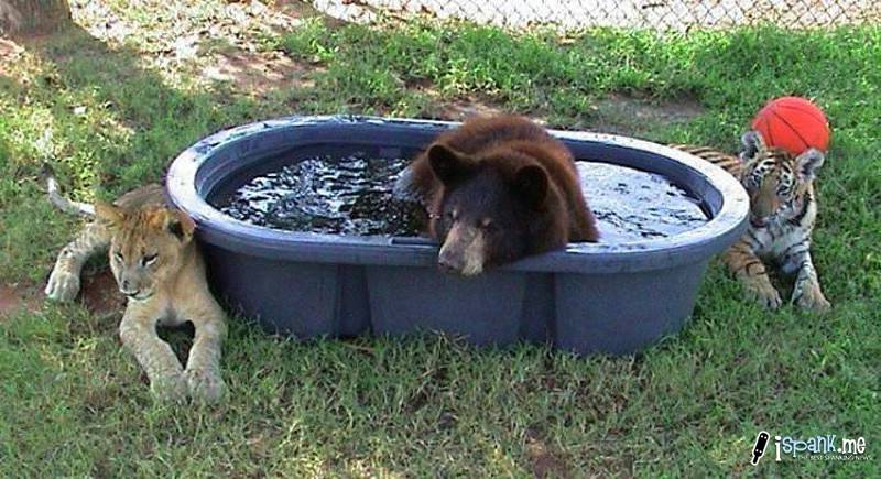 φιλοι για παντα