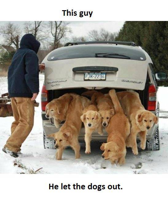 who let the dogs out