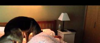 How To Wake Up Dad