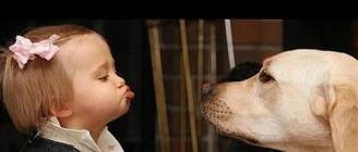 Funny dogs and babies talking - Cute dog & baby compilation
