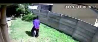 Burglar Escapes Savage Dog Attack! (Original)
