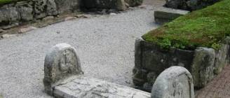 Dog cries on the grave of its owner