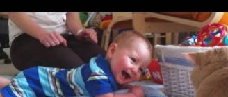 "Babies Laughing at Cats Compilation" || CFS