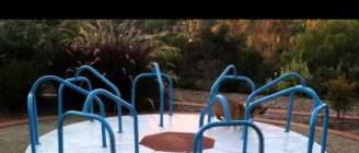 Corgi on a Carousel