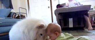 best friends - playing for the first time