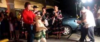 Dancing Merengue Dog