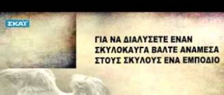 Σκυλοκαβγάδες κατά την βόλτα του σκύλου μας. Παρατρίχα